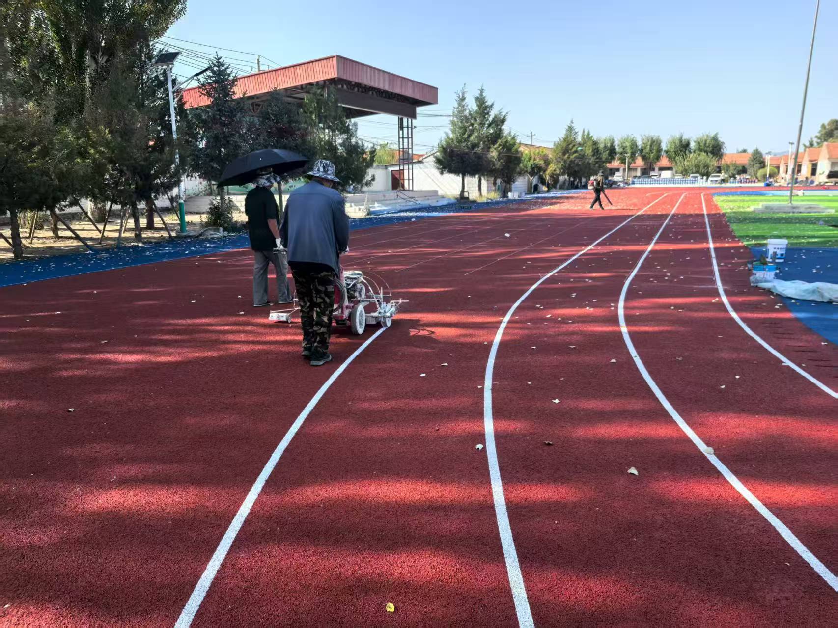 丽江市EPDM塑胶跑道复合型塑胶跑道 - 方案